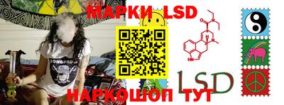 МДПВ Новозыбков