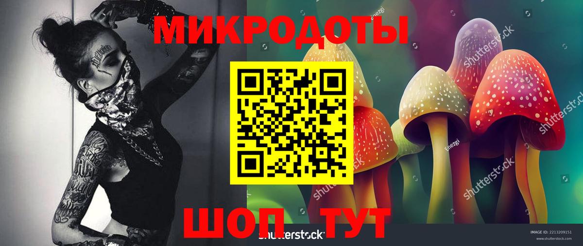 Псилоцибиновые грибы Magic Shrooms Сланцы